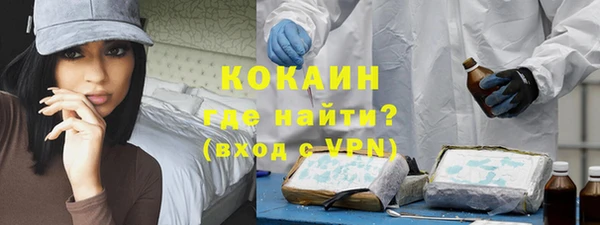 амф Дмитриев