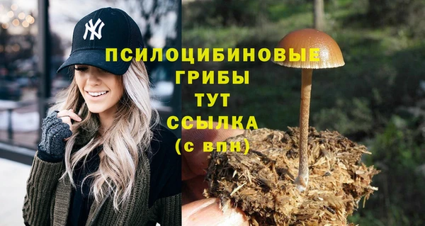 ALPHA PVP Дмитров