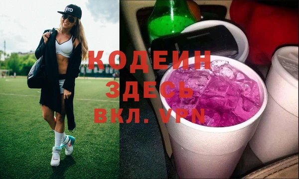амф Дмитриев