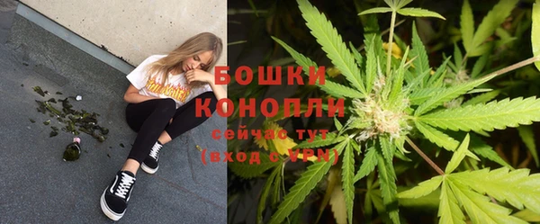 PSILOCYBIN Дмитровск
