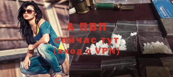 амф Дмитриев